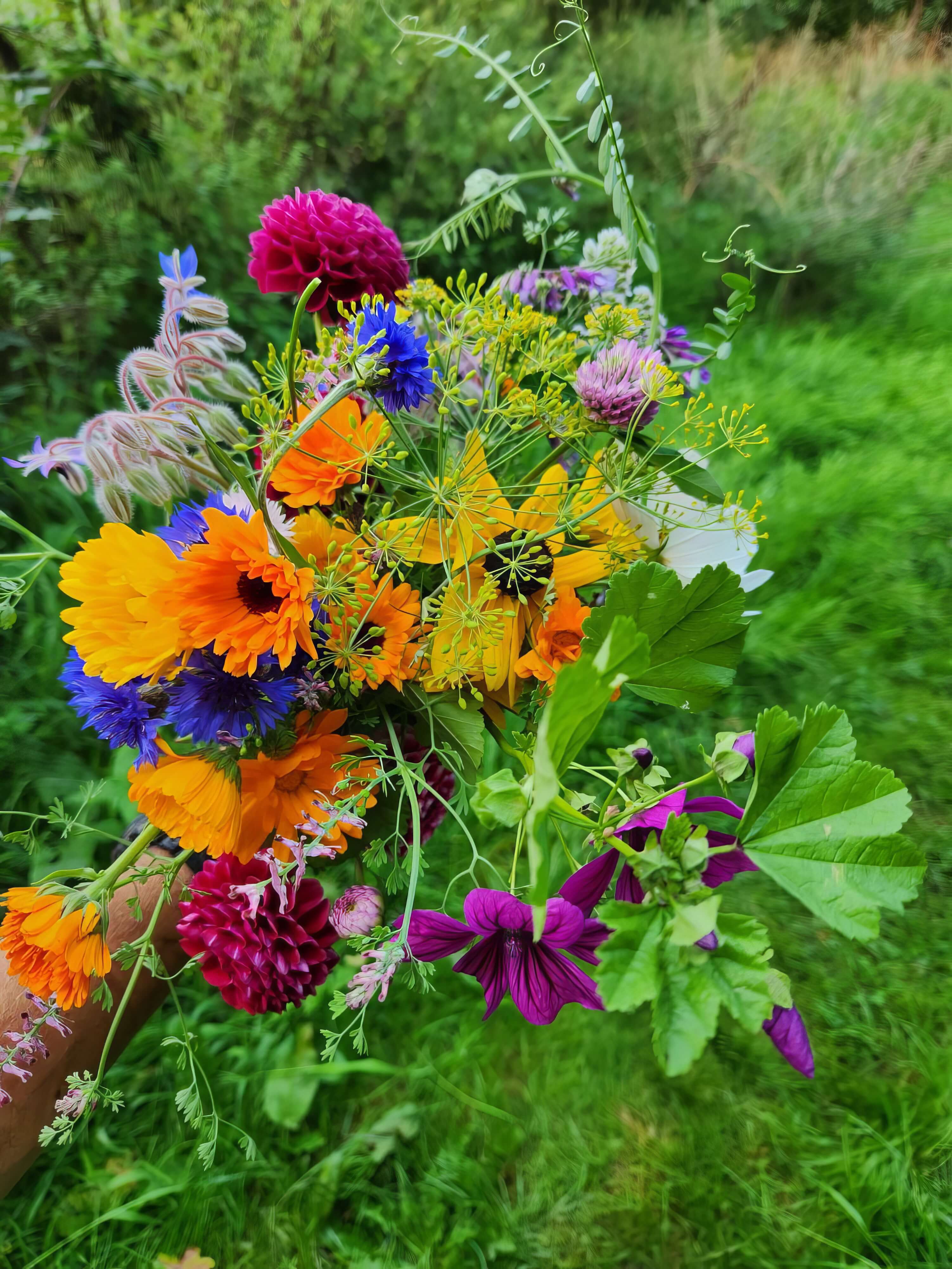 Blumen_2_3.jpeg